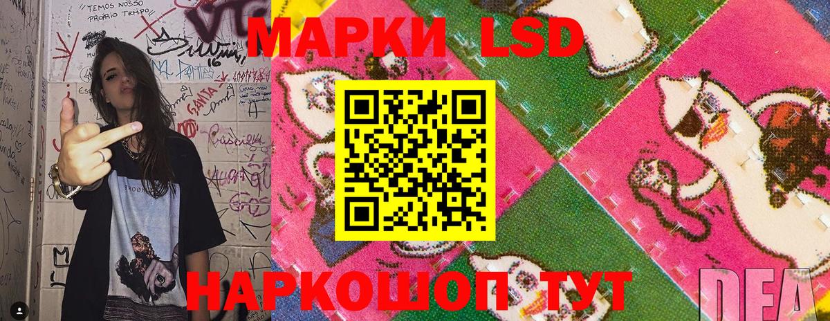 Наркотические марки 1,8мг  Наркотические марки 1,8мг  Марки NBOMe  магазин    Элиста  Вход с VPN 