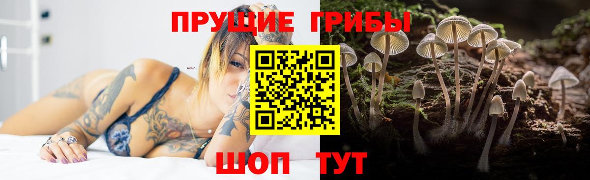 Галлюциногенные грибы мицелий  Псилоцибиновые грибы GOLDEN TEACHER  Вход с VPN  Элиста 